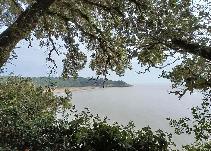 Agreable Rez De Jardin Avec Terrasse Proche Apartment Saint-Georges-de-Didonne