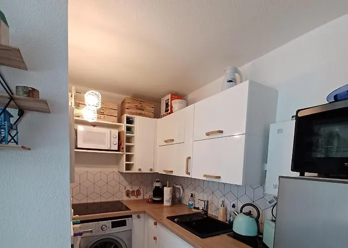 Agreable Rez De Jardin Avec Terrasse Proche Apartment