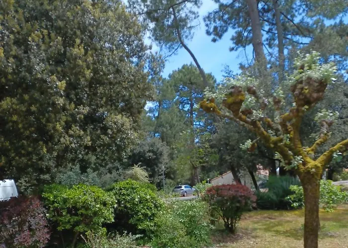 Agreable Rez De Jardin Avec Terrasse Proche Apartment